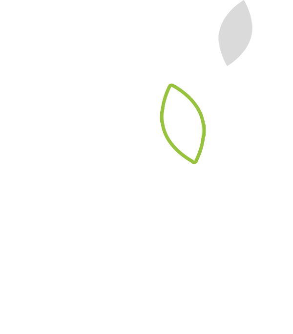 Graphic of four leaves.