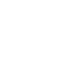 Logo for Americorps Vista